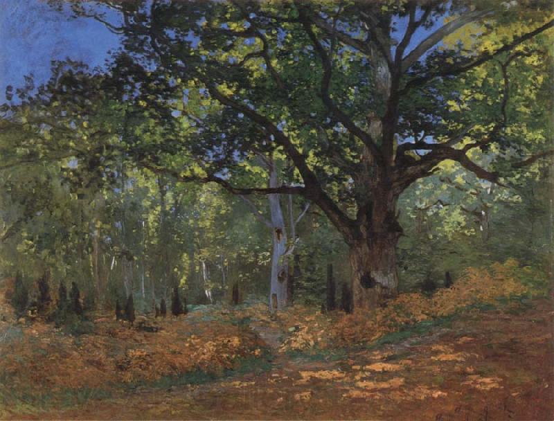 Claude Monet The Bodmer Oak,Forest of Fontainebleau Norge oil painting art